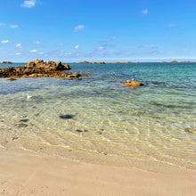 Load image into Gallery viewer, Cobo