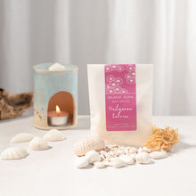 Load image into Gallery viewer, Hedgerow Berries