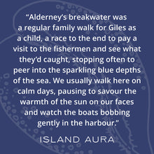 Load image into Gallery viewer, Breakwater wax melts story