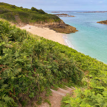 Load image into Gallery viewer, Belvoir Bay