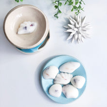 Load image into Gallery viewer, Coastal path