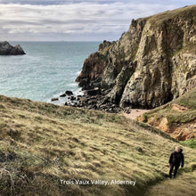 Load image into Gallery viewer, Cliff top