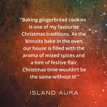 Load image into Gallery viewer, Gingerbread spice wax melts scent story