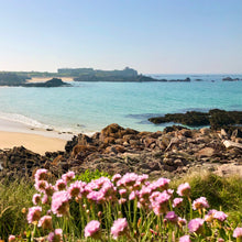 Load image into Gallery viewer, View of Corblets beach and pink flowers in Alderney