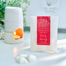 Load image into Gallery viewer, Early spring