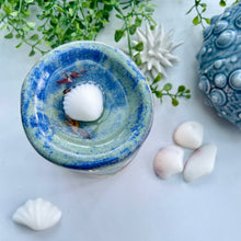 Load image into Gallery viewer, Blackberry picking