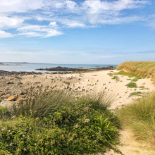 Load image into Gallery viewer, Oyster Point