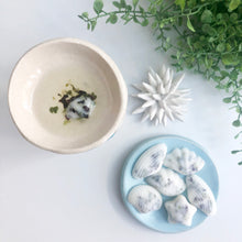 Load image into Gallery viewer, Rock pool