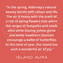 Load image into Gallery viewer, Early spring