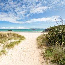 Load image into Gallery viewer, Golden sands of Shell Beach in Herm