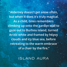 Load image into Gallery viewer, Snowfall wax melts scent story