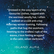 Load image into Gallery viewer, Island Aura A winter's night wax melt story