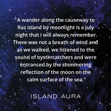 Load image into Gallery viewer, Moonlight wax melt scent story