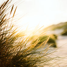 Load image into Gallery viewer, Golden sunset over Shell Beach in Herm
